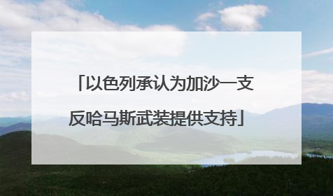 以色列承认为加沙一支反哈马斯武装提供支持