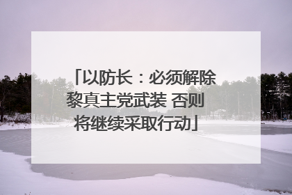 以防长：必须解除黎真主党武装 否则将继续采取行动