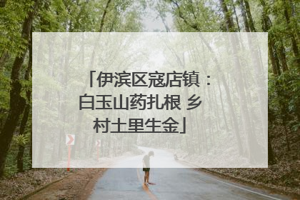 伊滨区寇店镇：白玉山药扎根 乡村土里生金