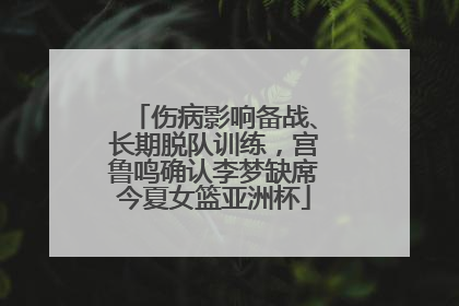 伤病影响备战、长期脱队训练，宫鲁鸣确认李梦缺席今夏女篮亚洲杯