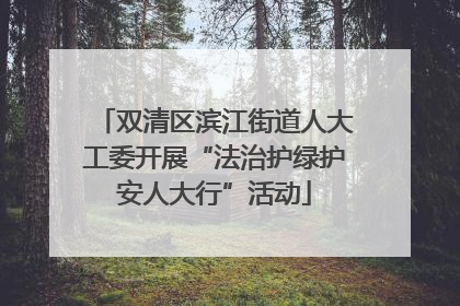 双清区滨江街道人大工委开展“法治护绿护安人大行”活动