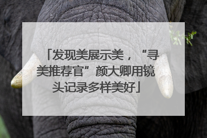 发现美展示美，“寻美推荐官”颜大卿用镜头记录多样美好