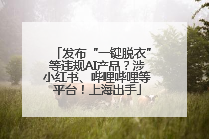 发布“一键脱衣”等违规AI产品？涉小红书、哔哩哔哩等平台！上海出手
