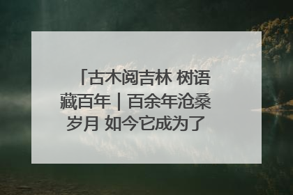 古木阅吉林 树语藏百年｜百余年沧桑岁月 如今它成为了“镇园之宝”