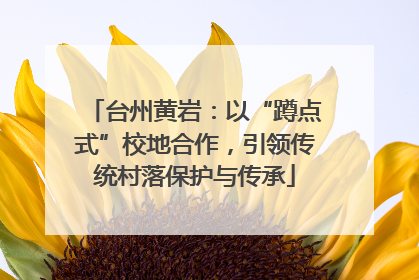 台州黄岩：以“蹲点式”校地合作，引领传统村落保护与传承