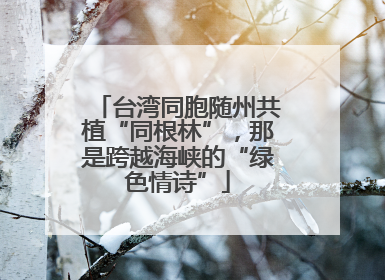 台湾同胞随州共植“同根林”，那是跨越海峡的“绿色情诗”