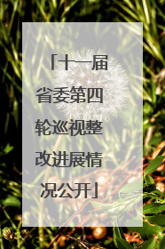十一届省委第四轮巡视整改进展情况公开