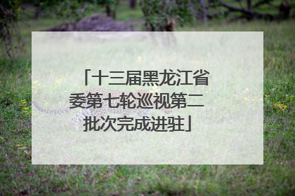 十三届黑龙江省委第七轮巡视第二批次完成进驻