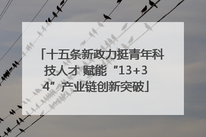 十五条新政力挺青年科技人才 赋能“13+34”产业链创新突破
