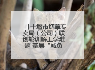 十堰市烟草专卖局（公司）联创轮训解工学难题 基层“减负”更“赋能”