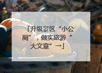 升级景区“小公厕”，做实旅游“大文章”→