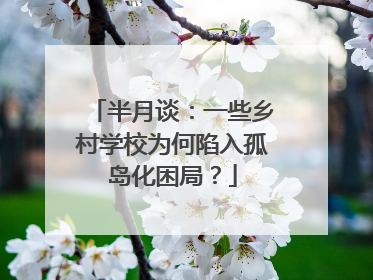 半月谈：一些乡村学校为何陷入孤岛化困局？