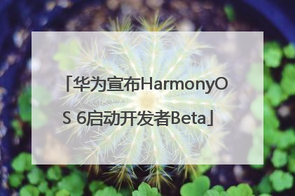 华为宣布HarmonyOS 6启动开发者Beta