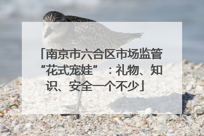南京市六合区市场监管“花式宠娃”：礼物、知识、安全一个不少