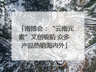 南博会：“云南元素”文创吸睛 众多产品热销海内外