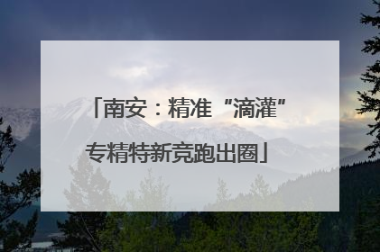 南安：精准“滴灌”专精特新竞跑出圈