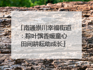 南通崇川幸福街道：粽叶飘香暖童心 田间耕耘助成长