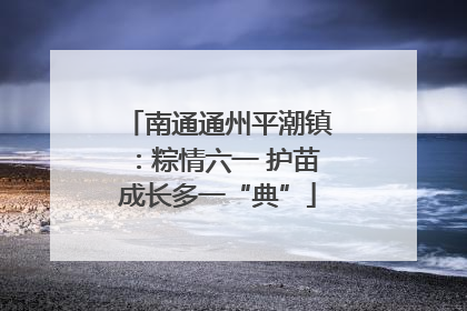南通通州平潮镇：粽情六一 护苗成长多一“典”