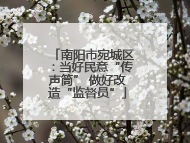 南阳市宛城区：当好民意“传声筒” 做好改造“监督员”