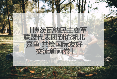 博茨瓦纳民主变革联盟代表团到访湖北嘉鱼 共绘国际友好交流新画卷