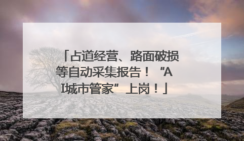 占道经营、路面破损等自动采集报告！“AI城市管家”上岗！
