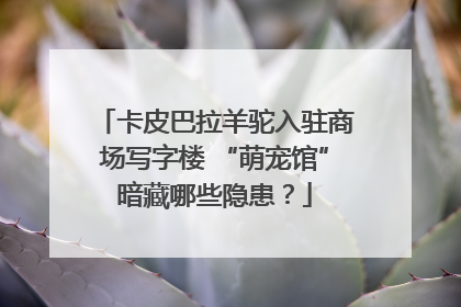 卡皮巴拉羊驼入驻商场写字楼 “萌宠馆”暗藏哪些隐患？