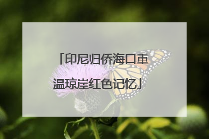 印尼归侨海口重温琼崖红色记忆