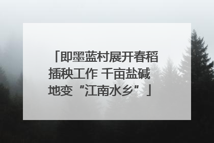 即墨蓝村展开春稻插秧工作 千亩盐碱地变“江南水乡”