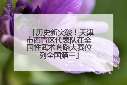 历史新突破！天津市西青区代表队在全国性武术套路大赛位列全国第三
