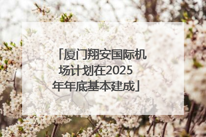 厦门翔安国际机场计划在2025年年底基本建成