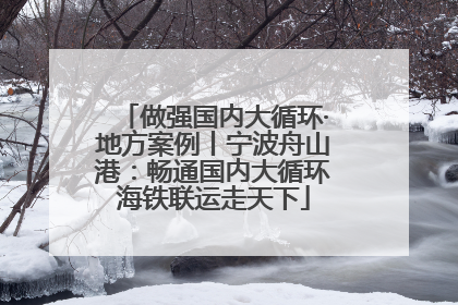 做强国内大循环·地方案例丨宁波舟山港：畅通国内大循环海铁联运走天下