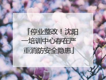 停业整改！沈阳一培训中心存在严重消防安全隐患