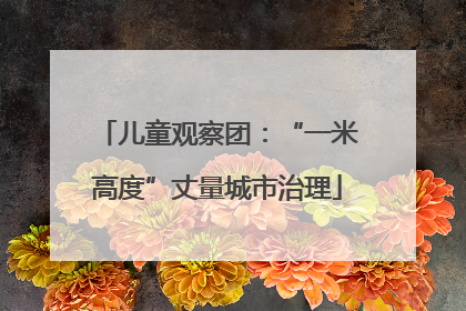 儿童观察团：“一米高度”丈量城市治理