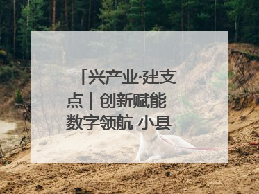 兴产业·建支点｜创新赋能 数字领航 小县城迎来大发展