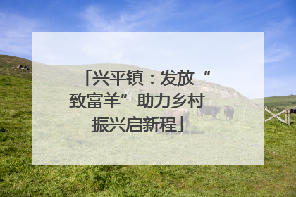 兴平镇：发放“致富羊”助力乡村振兴启新程