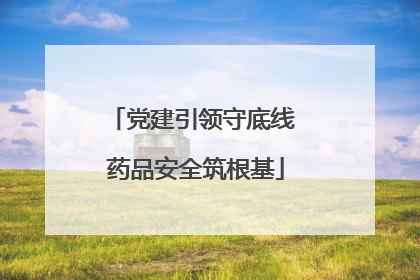 党建引领守底线 药品安全筑根基