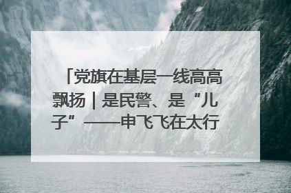 党旗在基层一线高高飘扬｜是民警、是“儿子”——申飞飞在太行山中的一线坚守