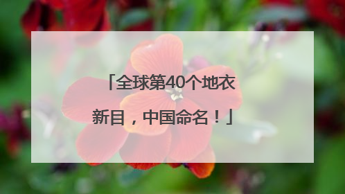 全球第40个地衣新目，中国命名！