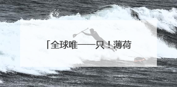 全球唯一一只！薄荷色LABUBU以108万元拍卖成交