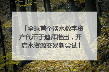 全球首个淡水数字资产代币于迪拜推出，开启水资源交易新尝试
