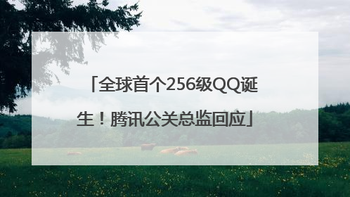 全球首个256级QQ诞生！腾讯公关总监回应