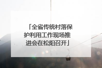 全省传统村落保护利用工作现场推进会在松阳召开