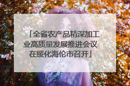 全省农产品精深加工业高质量发展推进会议在绥化海伦市召开