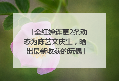 全红婵连更2条动态为陈艺文庆生，晒出最新收获的玩偶