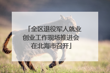 全区退役军人就业创业工作现场推进会在北海市召开