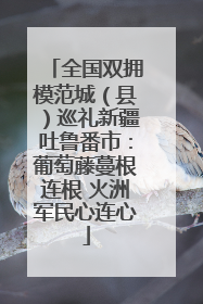 全国双拥模范城（县）巡礼新疆吐鲁番市：葡萄藤蔓根连根 火洲军民心连心