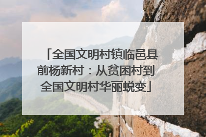 全国文明村镇临邑县前杨新村：从贫困村到全国文明村华丽蜕变