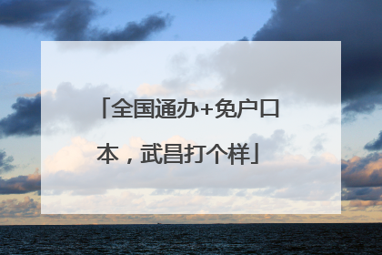 全国通办+免户口本，武昌打个样