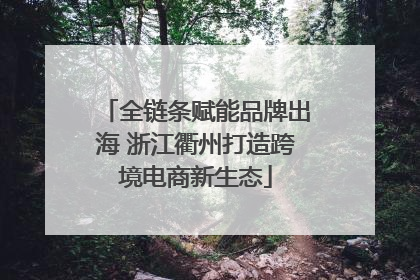 全链条赋能品牌出海 浙江衢州打造跨境电商新生态