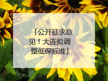 公开征求意见！大连拟调整低保标准